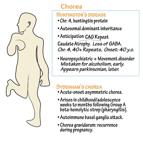 Neuroanatomy Glossary: Huntington's Disease | ditki medical & biological sciences