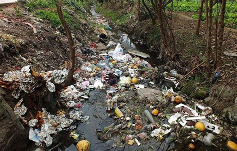 Causas de la contaminación del agua | Contaminacion-agua.org