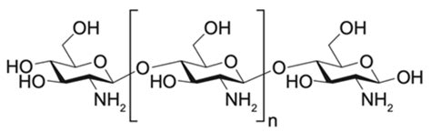 Structure of chitosan. | Download Scientific Diagram