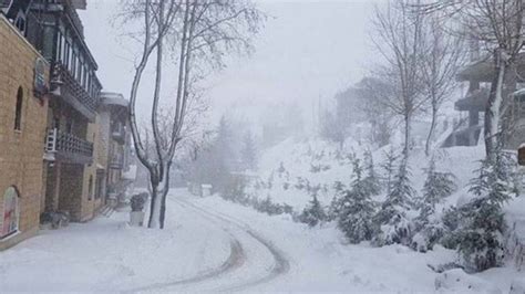 Snow closes various roads across Lebanon - Lebanon - Lebanon