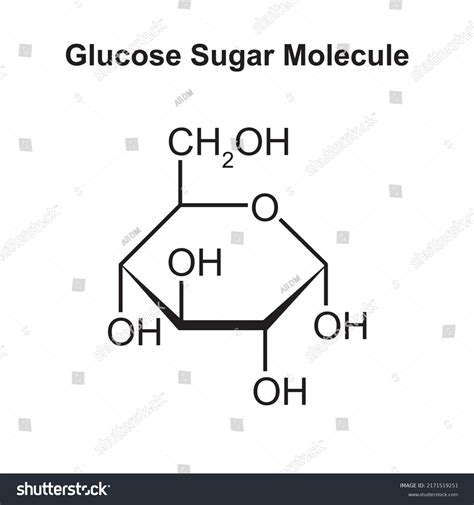 Chemical Illustration Glucose Sugar Molecule Vector Stock Vector ...