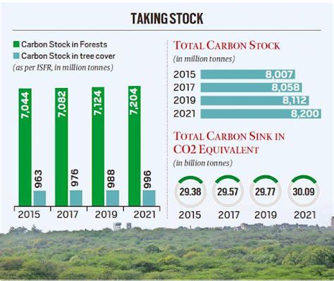 What is Carbon Sink? What are India's Carbon Sink Commitments?