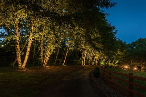 To have this many trees lining your driveway and not light them up ...