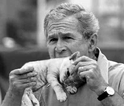 OMG! bush eat cat! image - Cat lovers - ModDB