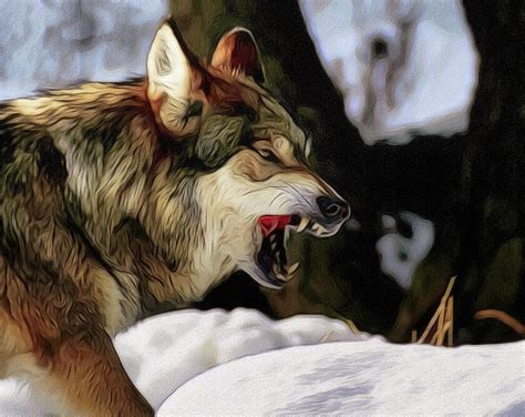 Snarling Wolf 3 Digital Art by Ernie Echols - Fine Art America