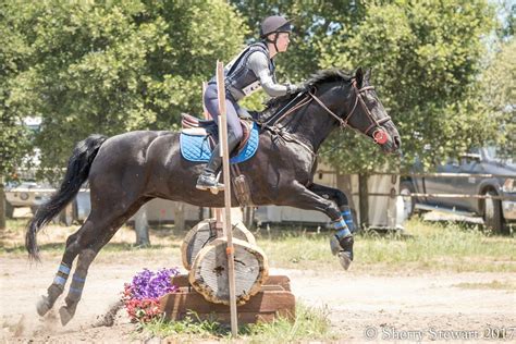 Valentine, My Friesian Event Horse | Eventing Nation - Three-Day ...