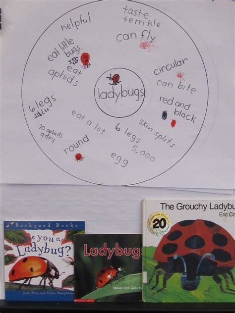 Eric Carle | Kindergarten writing, Joyful learning, Science lessons