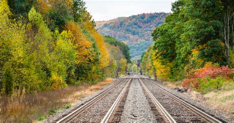 Fall Foliage Excursion: Enjoy autumn's beauty on a train ride through Bucks County | PhillyVoice