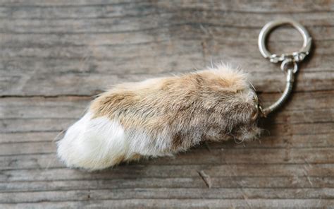 Lucky Rabbit's Foot Genuine Rabbit's Feet Key Chains Qty Feet For Good ...