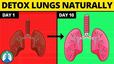 5 Ways to Detox and Cleanse Your Lungs Naturally - 40 Day Shape Up