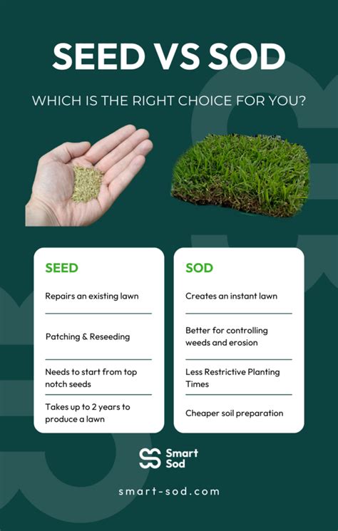 Sod vs Seed: Which is best in Florida - Smart Sod