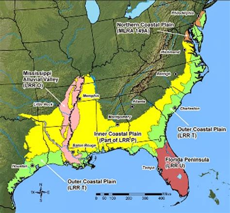 Southeastern Beetles: March 2014