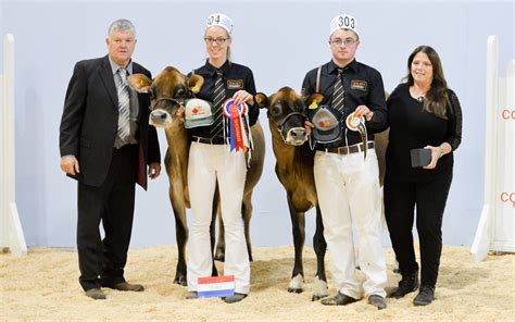 JCS National Show Gallery | Jersey Cattle Society of the UK