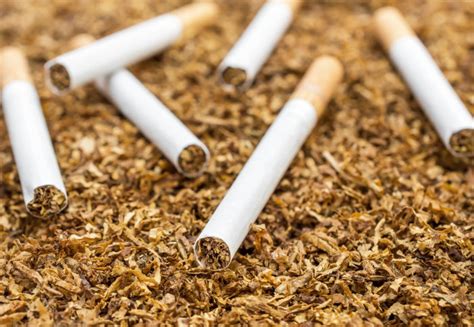 Cigarettes have a significant impact on the environment, not just ...