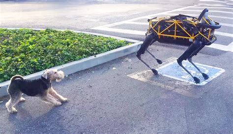 Watch Google's robot 'Spot' play with Andy Rubin's real dog