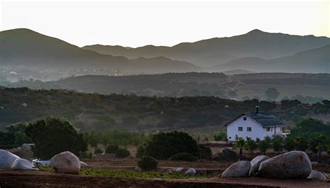 Mexico Wine Country Ensenada Photograph by Tommy Farnsworth