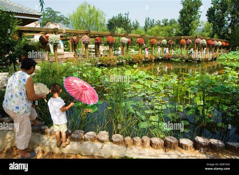 Beijing botanical gardens hi-res stock photography and images - Alamy