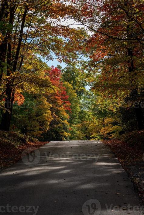 Road in Coopers Rock state park in West Virginia with fall colors 7220833 Stock Photo at Vecteezy