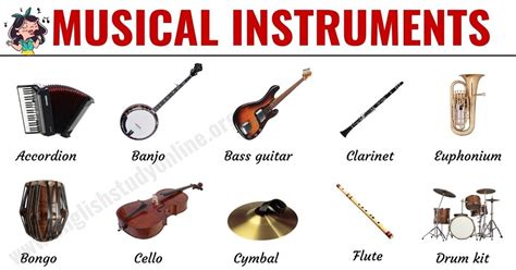 Musical Instruments: List of 30 Popular Types of Instruments in English | Musical instruments ...