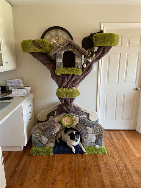 Reddit - Barkitecture - The Bridge, Another Cat Tree I Just Finished | Cat tree house, Cat diy ...