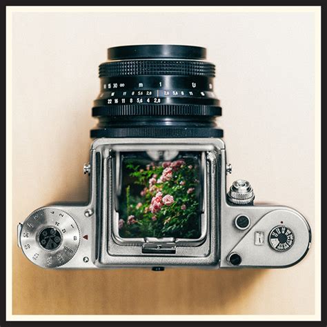 Best Medium Format Film Camera? Most Popular Models