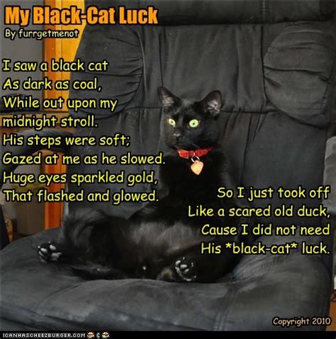 Poem: My Black-Cat Luck | Black cat luck, Black cat, Cats