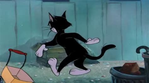 Tom Jerry - Baby Butch