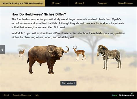 Niche Partitioning and DNA Metabarcoding – Astronaut 3 Media Group