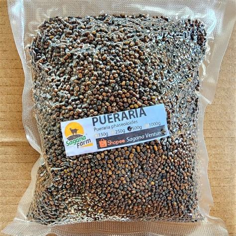 Kudzu Seeds 250 grams (Pueraria phaseoloides) Forage Covercrop by ...