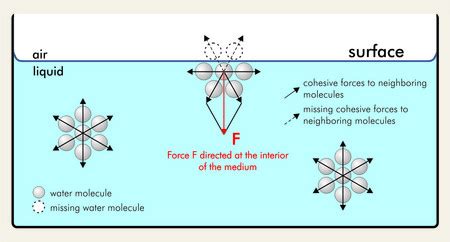 Dimensions of Surface Tension - Units, Dimensions | ProtonsTalk