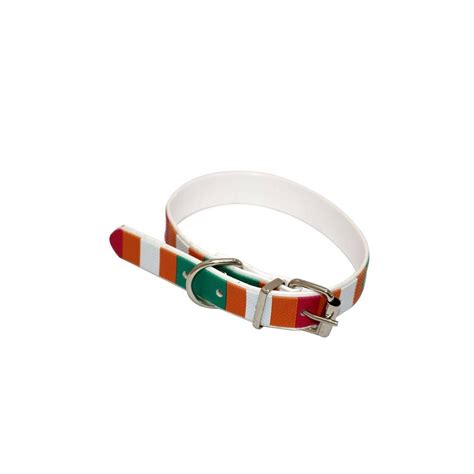 TXON Stores Your choice for home products.. Dog collar belt