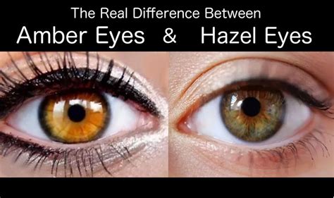 The Real Difference Between Amber Eyes And Hazel Eyes | Hazel eyes, Beautiful eyes color, Rare ...