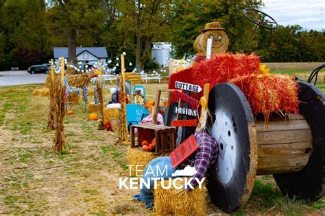 Pumpkins and Mums: Where to Find the Best Fall Staples in Owensboro ...