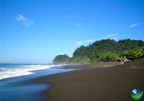 Hermosa Beach Costa Rica - Awesome Surfing Beach near Jaco!