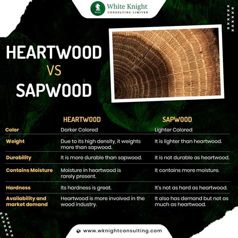 Heartwood vs Sapwood : A Closer Look at The Differences