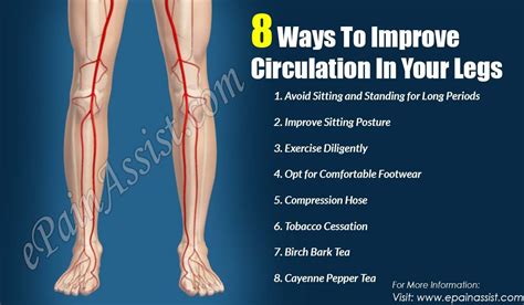 What Causes Poor Circulation In Legs - todalaactualidadmotor