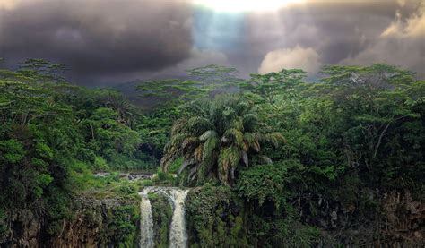 Tropical Rainforest Wallpaper 1920ãƒ 1200 Tropical - Mauritius Free (#2105580) - HD Wallpaper ...