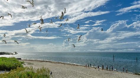 Why You Need to Take a Day Trip to Ocracoke Island? - Pirate’s Cove Realty