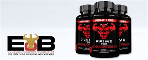 REVIEW: Prime Labs Prime Test - Evolution of Bodybuilding ...