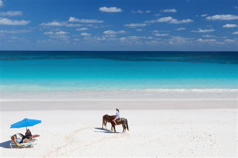 Ultimate Travel Guide to Pink Sands Beach Bahamas