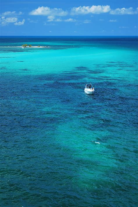 Snorkeling Bahia Honda State Park - Beach And Boat Options