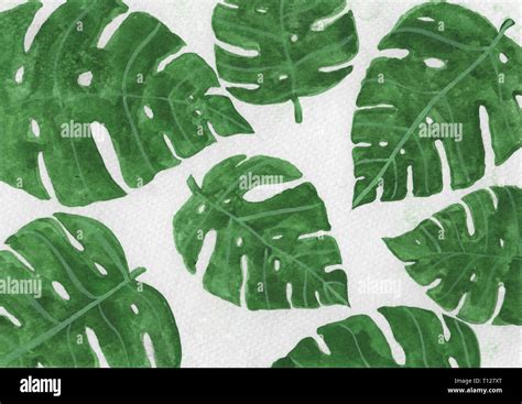 Leaft hand hi-res stock photography and images - Alamy