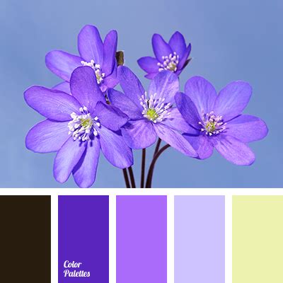 selection of color | Page 9 of 12 | Color Palette Ideas