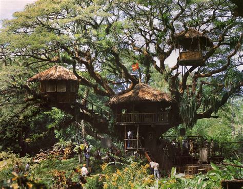 Swiss Family Robinson Treehouse Movie Set | The original mov… | Flickr