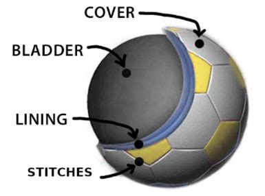 Soccer Ball Buying Guide - Which Soccer Ball is Better for My Program? - S&S Blog