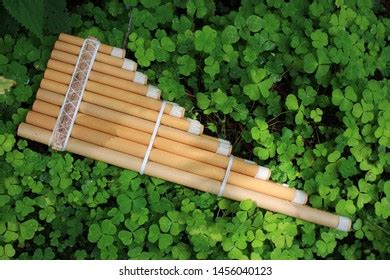 Indian Flute Pan Made Bamboo Stock Photo 1456040123 | Shutterstock