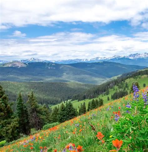 Charitybuzz: 5-Night Luxury Getaway for 6 to the Vail Villages in CO