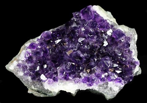 5" Dark Purple Amethyst Cluster - Uruguay (#30612) For Sale - FossilEra.com