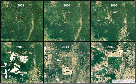 The Dramatic Deforestation of Cambodia, as Seen From Space