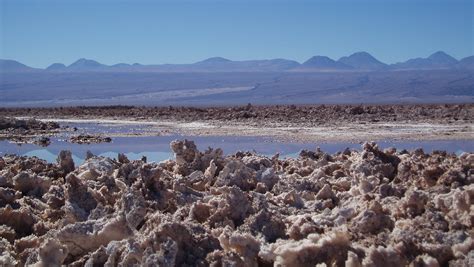 Atacama Escapes | Salar de Atacama